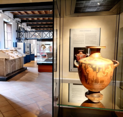 Domenica 7 dicembre accesso gratuito al Museo Archeologico Lametino