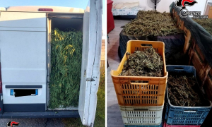 Spaccio di marijuana su un camion, due fermi nel reggino
