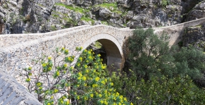 Veglia di preghiera a sei mesi dalla tragedia del Raganello