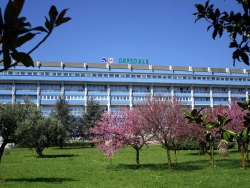 Paziente affetta da fibrosi cistica partorisce nell&rsquo;ospedale ''San Giovanni Paolo II'' di Lamezia