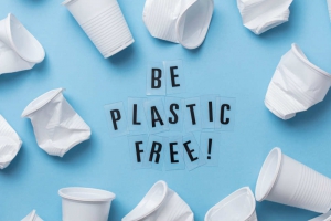 Plastic Free: Botricello, Cropani e Sellia Marina firmano protocollo d&rsquo;intesa