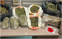 Beccato con 10 chili di droga, carcere per un 19enne