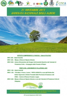 La Giornata Nazionale degli Alberi, l'importanza del patrimonio nelle iniziative a riguardo