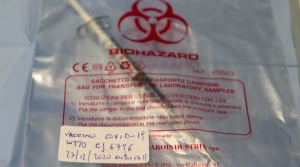 Campagna vaccinale a Maida, il sindaco Paone riunisce i medici, i direttori del Polo sanitario e del Consultorio