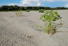 Siccit&agrave;: Calabria chiede stato calamit&agrave;