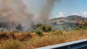Incendio lungo la Ss280, fiamme in azienda e disagi sulla statale