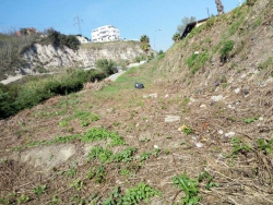 Terreno abbandonato diventa vigneto grazie al Protocollo d'intesa tra Calabria Verde e Casa Circondariale ''Ugo Caridi''