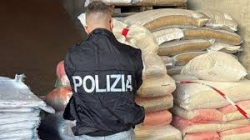 Carenze strutturali e igieniche, chiusa azienda