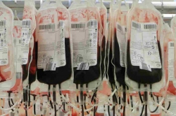 Avis, raccolte a Crotone 700 sacche di sangue
