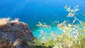 Tutelare gli habitat, Wwf: 40 progetti per la Calabria