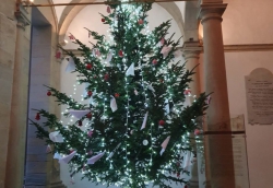 L'Albero della Pace illumina il santuario di Paola