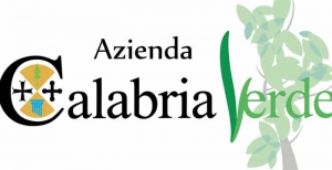 Adesione lavoratori Calabria Verde alla manifestazione nazionale sul Mezzogiorno