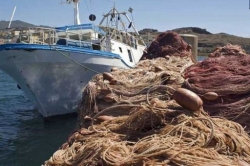 Pubblicati due nuovi bandi per il settore ittico