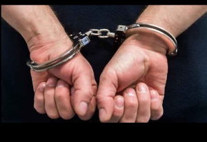 Due arresti e 113 persone truffate nel cosentino