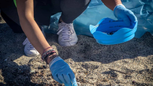 Calabria: i volontari plastic free tornano in azione