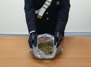 300 gr di marijuana nascosta, un arresto