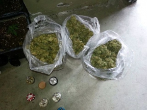 186 gr di marijuana nel catanzarese, arrestati