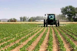 Agroalimentare, pubblicata graduatoria bando meccanizzazione