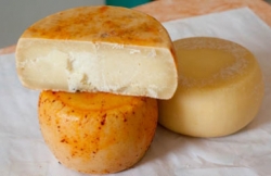 A Rombiolo si &egrave; parlato del riconoscimento Dop del pecorino del Monte Poro