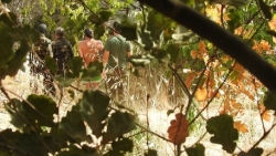 Siccit&agrave;, proteste agricoltori crotonesi
