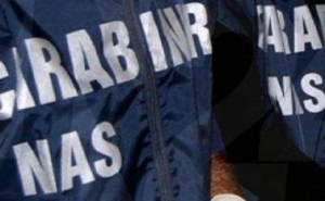 Controlli a Squillace e Vallefiorita, multe da 12mila euro