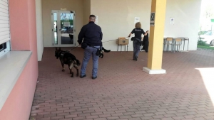 Droga in piazza e scuola a Cosenza, sgominata banda