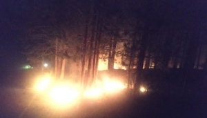 Fiamme nella Presila catanzarese, distrutti 3 ettari di terreno