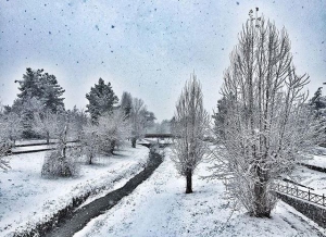 Notte di Capodanno: neve in Calabria