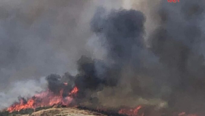 Catanzaro, incendio in un capannone: paura ma nessun ferito