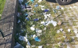 Guanti e mascherine abbandonati a terra: l'appello dell'associazione Vas