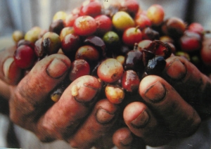 Giornata Mondiale del Commercio Equo e Solidale: a Reggio Calabria occasione di condivisione