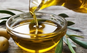 Olio, incontro con produttori a Corigliano Rossano