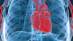 Cardiochirurgia: domani alle 11 focus su sanit&agrave; e formazione all'Umg di Catanzaro