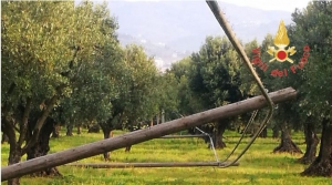 Abbattono sei pali Telecom per rubare i cavi di rame