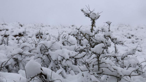 Previsioni meteo, la Calabria ancora avvolta nel freddo gelido