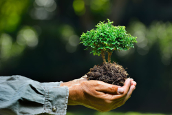 Calabria: Plastic Free ONLUS e Rotaract Distretto 2102 uniscono le forze per la tutela ambiente