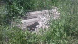 Scala Coeli: il pic-nic di Legambiente ennesima conferma di ambientalismo di comodo