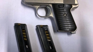 Armi: in casa pistola clandestina e cartucce, un arresto