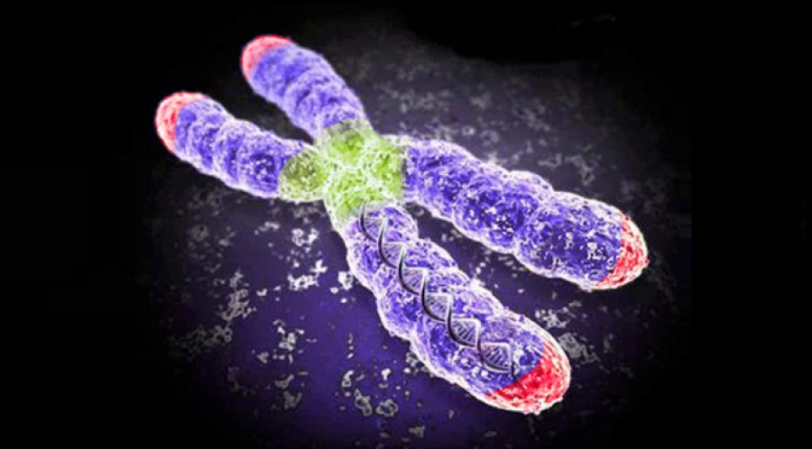 Asp Catanzaro: esperti trattano il ruolo della biologia molecolare e dell&rsquo;immunoterapia nei nuovi percorsi diagnostico-terapeutici in oncologia