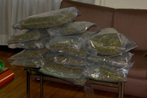 Traffico internazionale di droga, 17 arresti