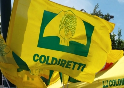 Catanzaro: Coldiretti partecipa all&rsquo;iniziativa a sostegno dell&rsquo;azione del dott. Gratteri, dei suoi collaboratori e delle forze dell&rsquo;ordine