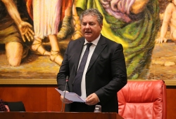 Sbarchi, il presidente Mancuso: ''Serve una strategia efficace''