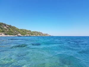 Microalghe potenzialmente tossiche: online il rapporto 2019 per la Calabria