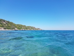 Microalghe potenzialmente tossiche: online il rapporto 2019 per la Calabria