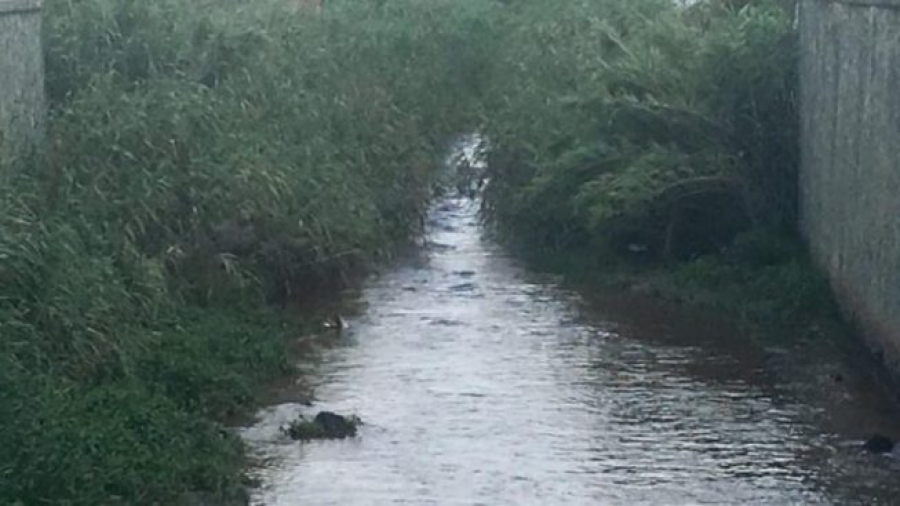 ''Calabria Verde'' prepara interventi manutentivi e la verifica della qualit&agrave; ambientale e legale dei corpi idrici Fiume Oliva, Fiume Mesima e Torrente Budello