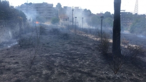 Reggio Calabria, a fuoco il Parco de Sena