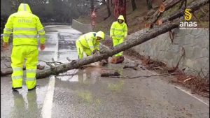 Disagi sulle strade per vento forte e neve, mezzi e uomini Anas al lavoro