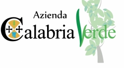 Short list ''Calabria Verde'', avviso sospeso per evitare ogni possibile fraintendimento