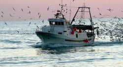 Pesca, scatta lo stop in tutto il Mar Jonio