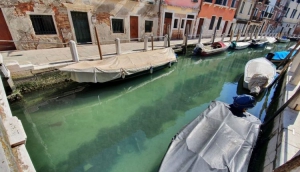 Covid-19: mentre l'uomo ha paura, la Natura rinasce